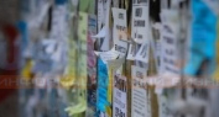 В Усолье на незаконной агитации попались два молодых человека