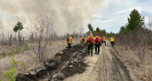 В Иркутской области 1910 специалистов заступят на охрану лесов от огня