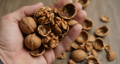 Никогда не выбрасываю скорлупу от грецких орехов: теща сначала удивлялась, а теперь делает также – рассказываю, как я ее использую