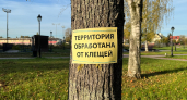 В Иркутской области клещи атаковали почти 6 тысяч человек с начала сезона