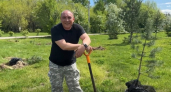 Жители Усолья высадили молодые сосны в лесном массиве рядом с городом