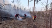 В Иркутской области за сутки ликвидировали 5 лесных пожаров