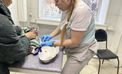 В Усолье-Сибирском ветеринары спасли кота после стирки